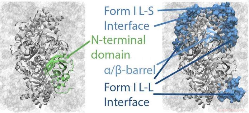 The Enzyme That Helped Life Dominate a Hostile Earth