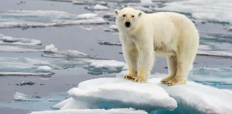 From Climate Gloom to Action: Real Stories That Inspire