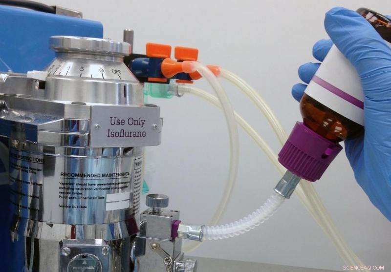 Surgical Teams Adopt Green Practices by Recycling General Anesthesia Gases