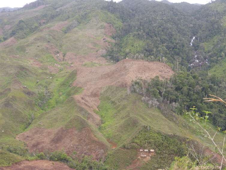 Integrating Local Community Rights into Forest Conservation Strategies