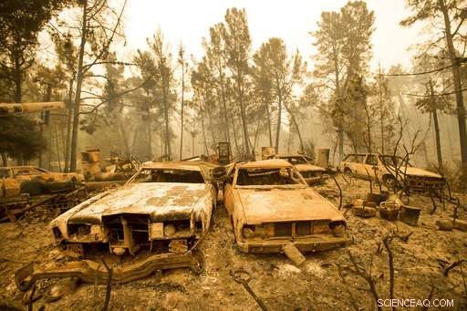 U.S. Scientists Challenge Trump’s Climate Claims