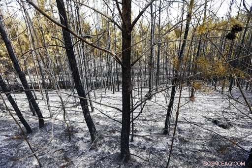 Climate Change Impact Report: Which Regions Face Rising Temperatures and Increased Rainfall