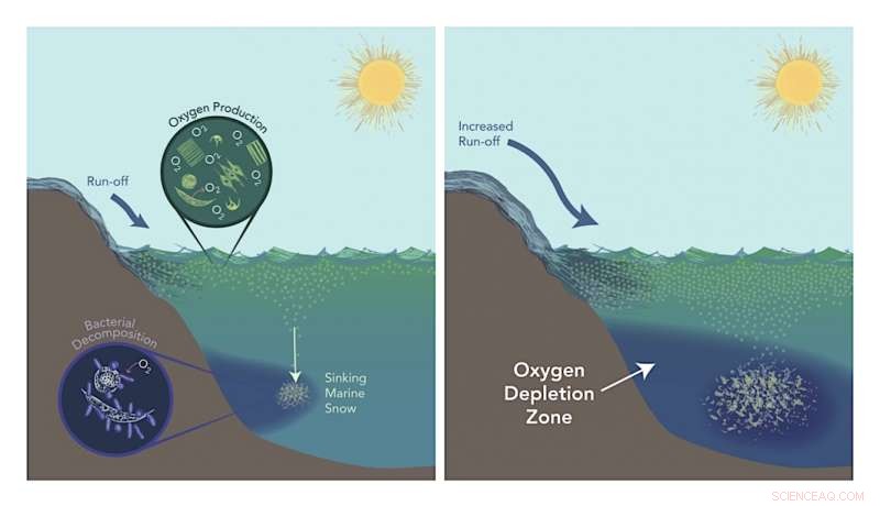 New Study Quantifies Oxygen Depletion in Ancient Global Oceans
