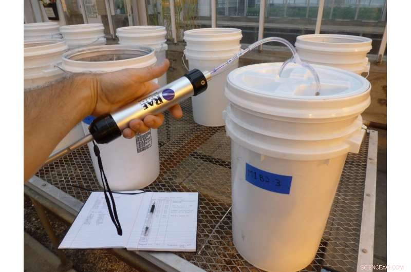 Biochar Improves Manure Lagoon Cover, Reducing Odor and Enhancing Soil Fertility