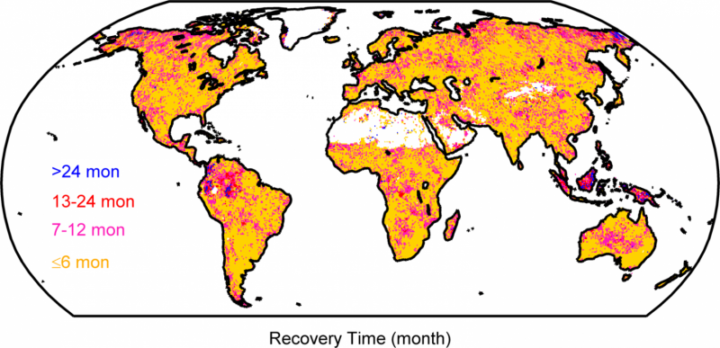 Recovering from Drought: Key Strategies for Ecosystem Restoration
