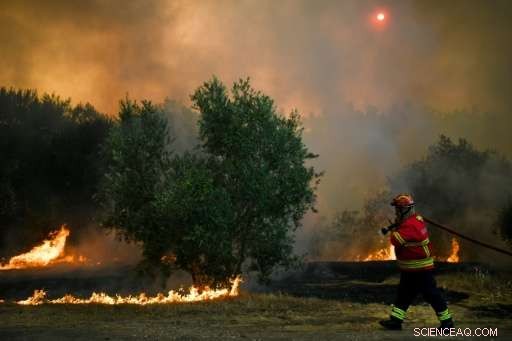 Portugal s Firefighters Reassert Control Over Drought-Driven Wildfires – Update