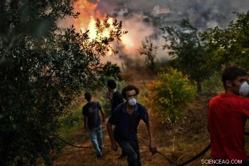 Portugal s Firefighters Reassert Control Over Drought-Driven Wildfires – Update