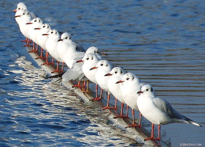 Global Research Team Tackles Water Shortage Challenges