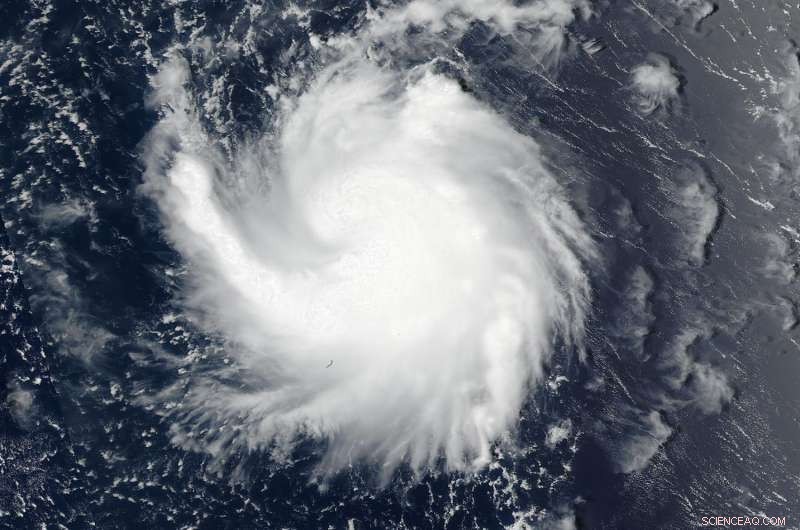 NASA Detects Comma‑Shaped Formation of Tropical Storm 14W