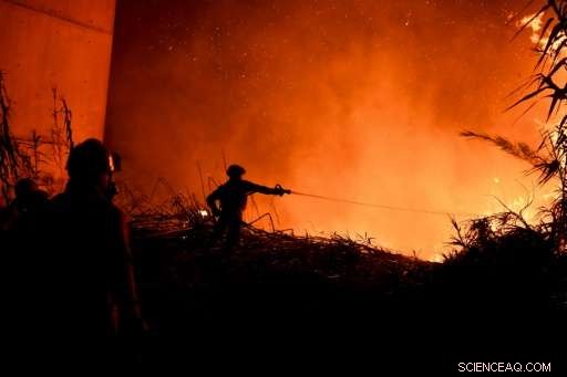 Spain Deploys Firefighting Resources to Support Portugal s Wildfire Battle