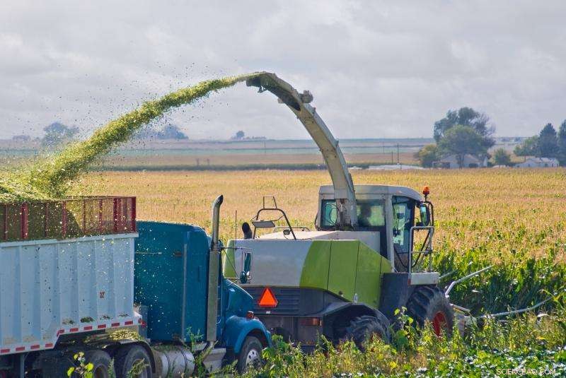 Even a Small Nuclear War Could Trigger a Global Ecological Disaster