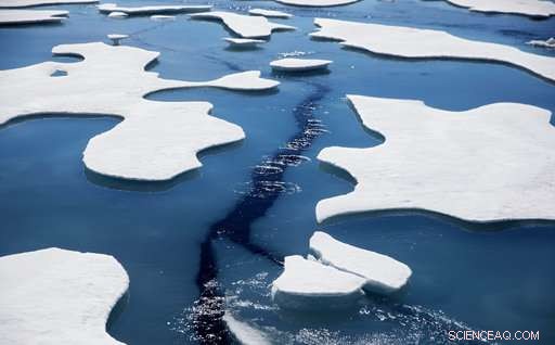 Arctic Expedition Reveals Global Warming s Effects on Ice and Wildlife