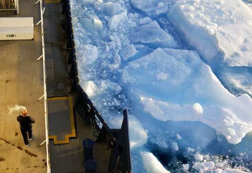 Arctic Expedition Reveals Global Warming s Effects on Ice and Wildlife