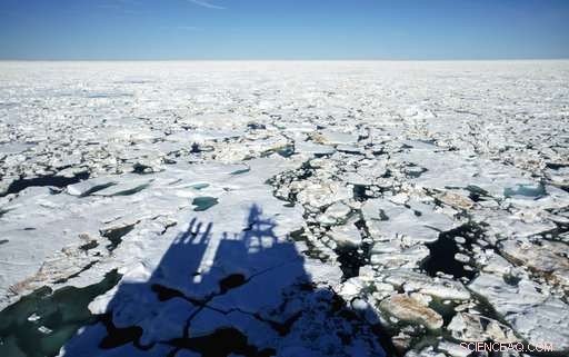 Arctic Expedition Reveals Global Warming s Effects on Ice and Wildlife