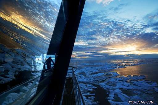 Arctic Expedition Reveals Global Warming s Effects on Ice and Wildlife