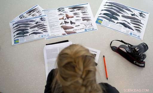 Arctic Expedition Reveals Global Warming s Effects on Ice and Wildlife