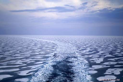 Arctic Expedition Reveals Global Warming s Effects on Ice and Wildlife