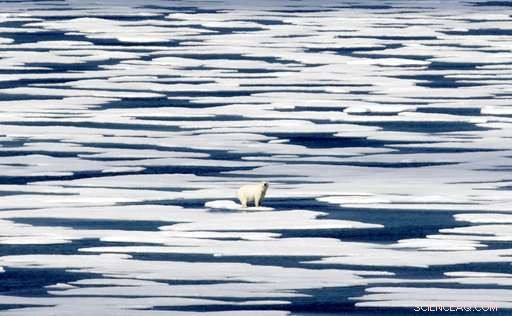 Arctic Expedition Reveals Global Warming s Effects on Ice and Wildlife