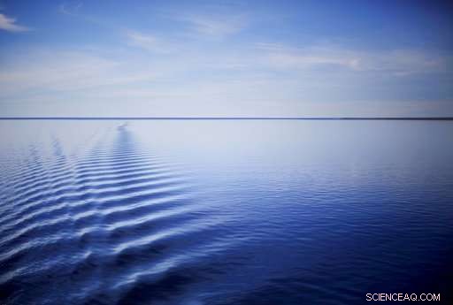 Arctic Expedition Reveals Global Warming s Effects on Ice and Wildlife