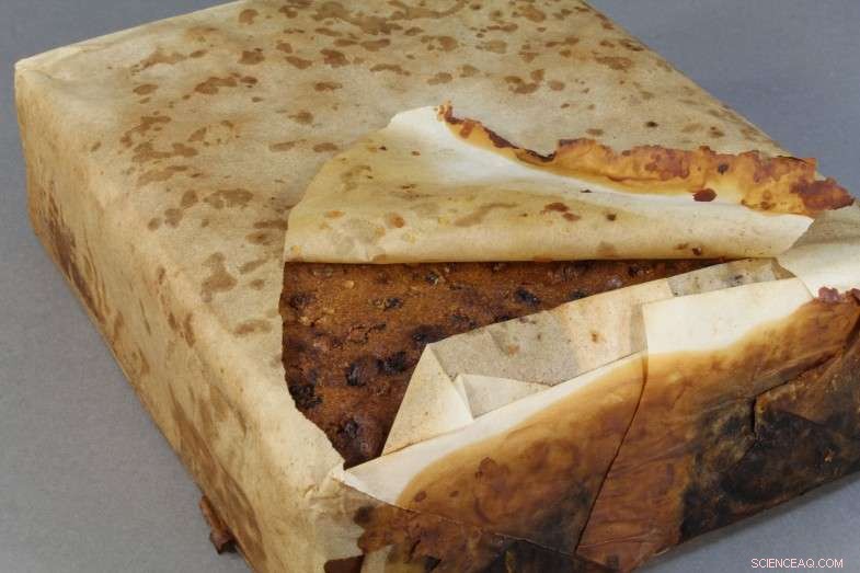 Historic 100‑Year‑Old Fruit Cake Unearthed at Cape Adare