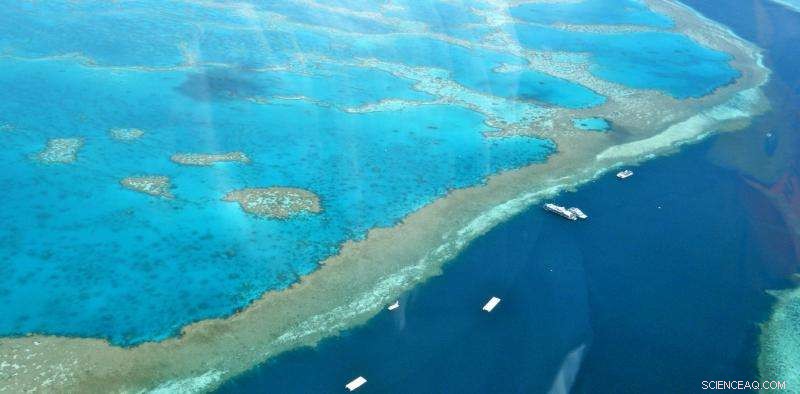 Leveraging Social Media to Monitor Ecosystem Health