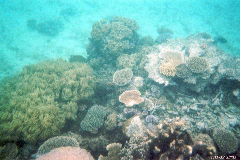 Leveraging Social Media to Monitor Ecosystem Health