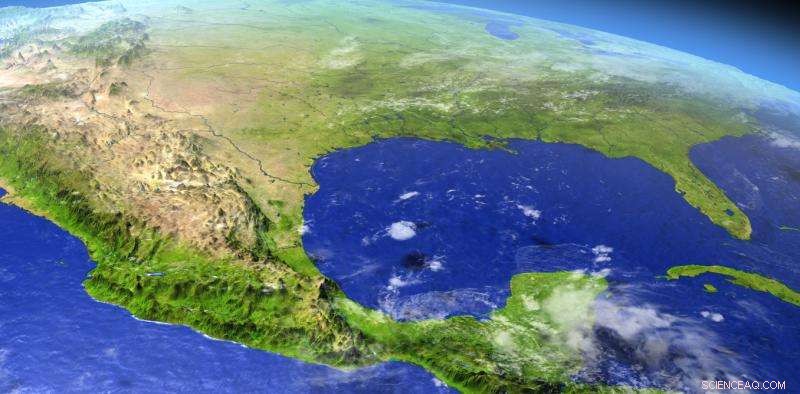 Gulf of Mexico Dead Zone: A Growing Environmental Crisis