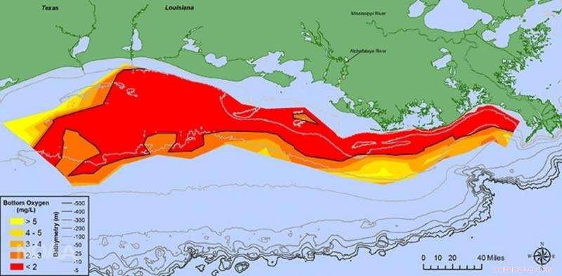 Gulf of Mexico Dead Zone: A Growing Environmental Crisis