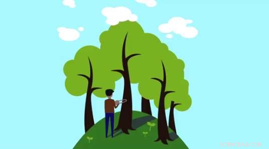 Carbon Offsets Drive Broad Environmental Benefits