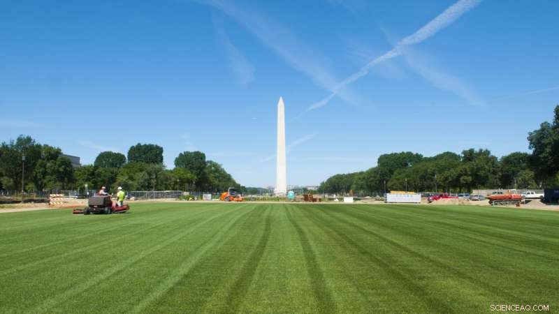 Resilient Soil Microbes Thrive Amid National Mall Renovation
