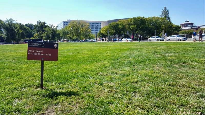 Resilient Soil Microbes Thrive Amid National Mall Renovation