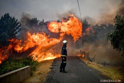 Portugal Arrests 61 Suspected Arsonists Amid Escalating Wildfire Destruction