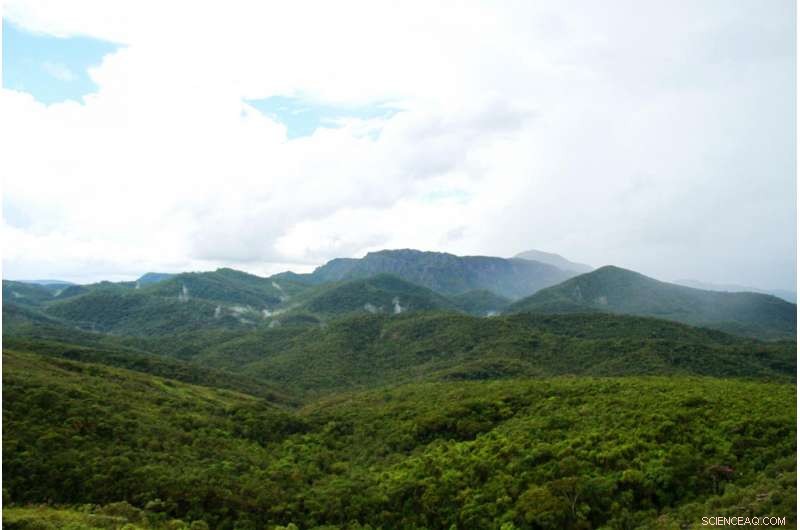A Decade of Monitoring Reveals the Dynamic Health of the Atlantic Tropical Forest