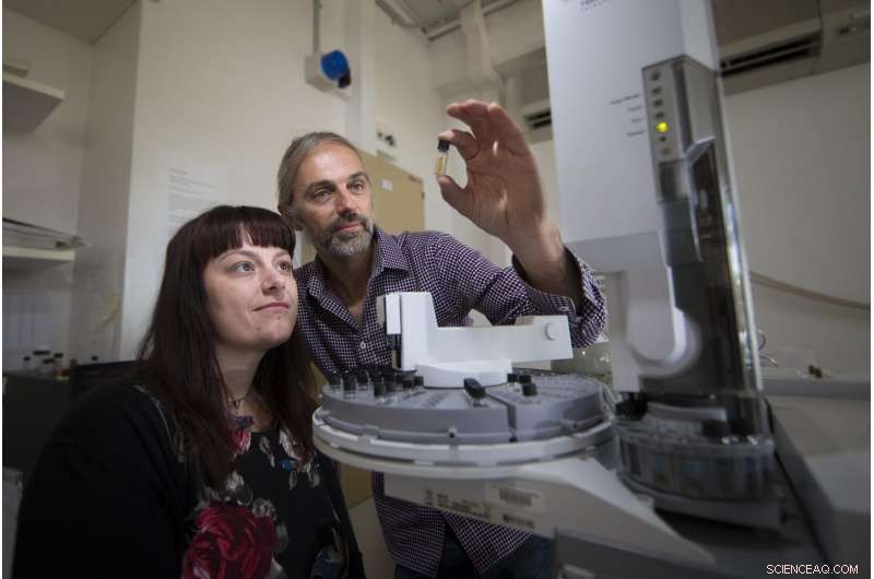 ANU Study Reveals How Earth s First Animals Emerged