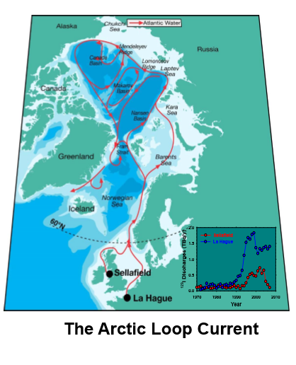 Radioactive 129I Traces 15,000 km of Ocean Currents After UK and French Nuclear Discharges
