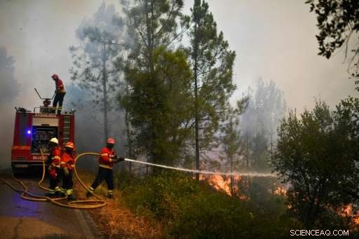 Portugal Wildfires: 2,000 Villagers Trapped, Rescue Efforts Intensify