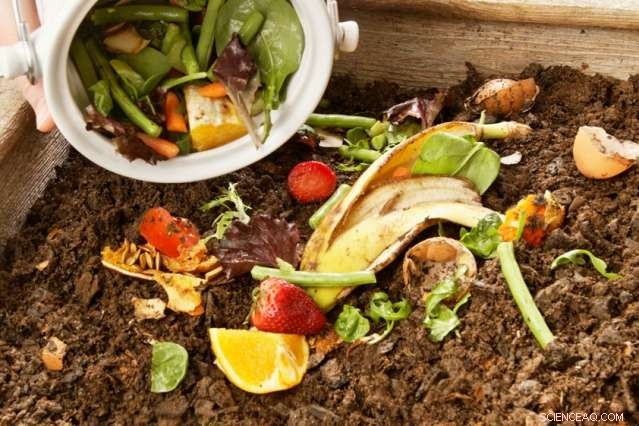 Policy Drives Food Waste Recycling Success, MIT Study Shows