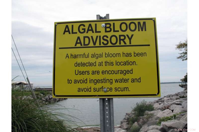Ohio Homeowners Face $152M in Algal Bloom Damages Over Six Years