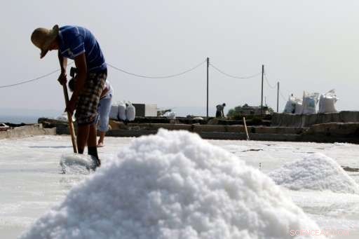Lebanon s Salt Production Threatened as Only One Town Preserves the Art