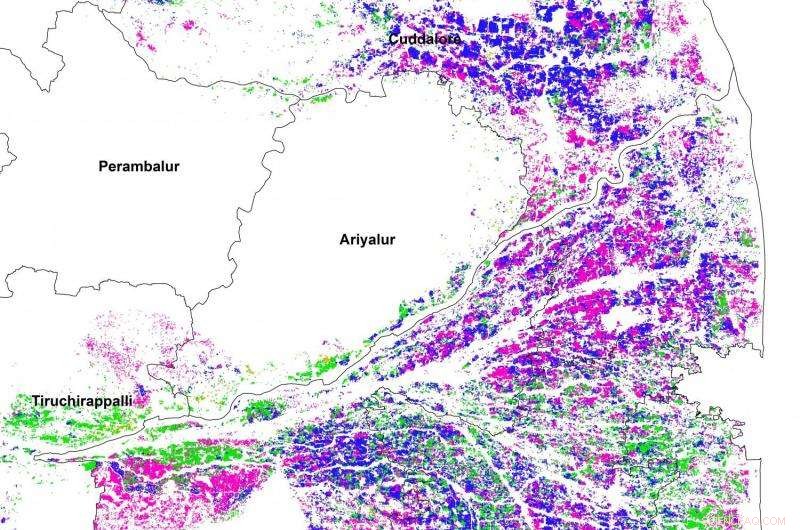How Sentinel‑1 Accelerates Crop Insurance Payouts for Farmers