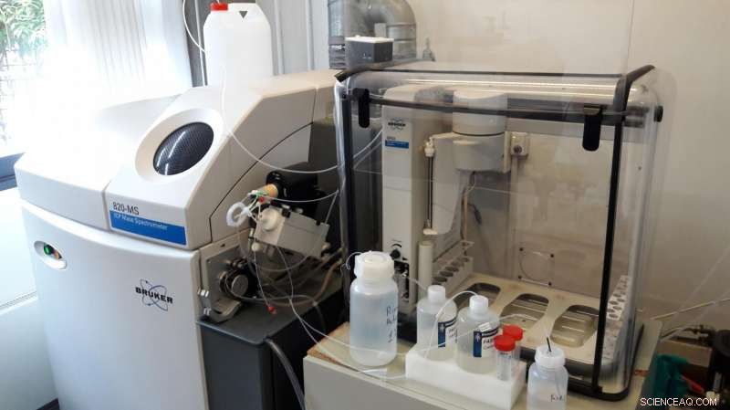 New Study Reveals Toxic Antimony in Pompeii’s Ancient Water Pipes