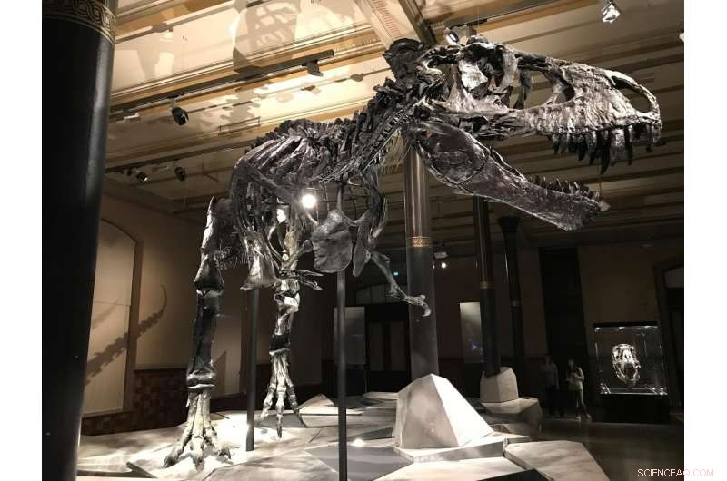 Asteroid Impact May Have Darkened Earth for Two Years, Study Suggests