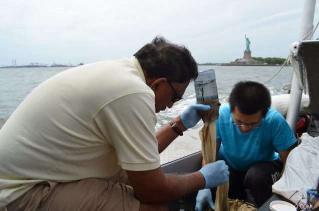 New York’s Waterways Overrun with Plastic Microbeads: A Growing Environmental Crisis