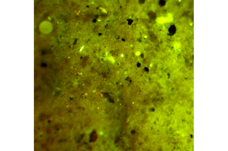 New York’s Waterways Overrun with Plastic Microbeads: A Growing Environmental Crisis