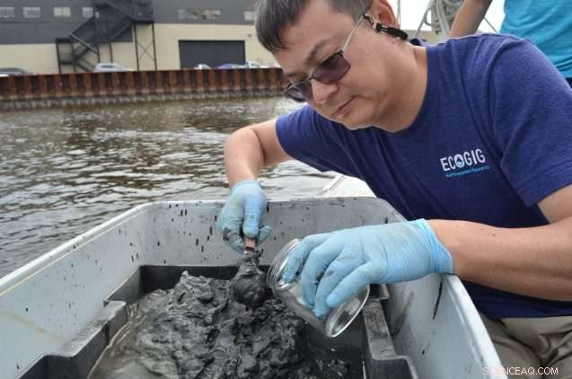New York’s Waterways Overrun with Plastic Microbeads: A Growing Environmental Crisis