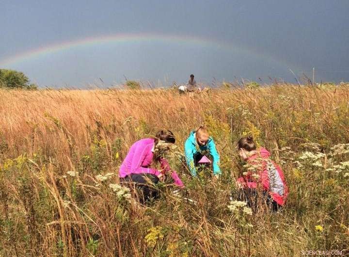 Long-Term Study Investigates Prairie Ecosystem Recovery After Farmland Abandonment