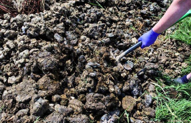 Research Quantifies Benefits of Animal Manure on Crop Yield and Pollution Reduction