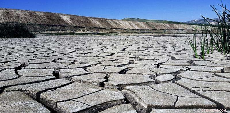 The Critical Importance of Capping Global Warming at 2°C