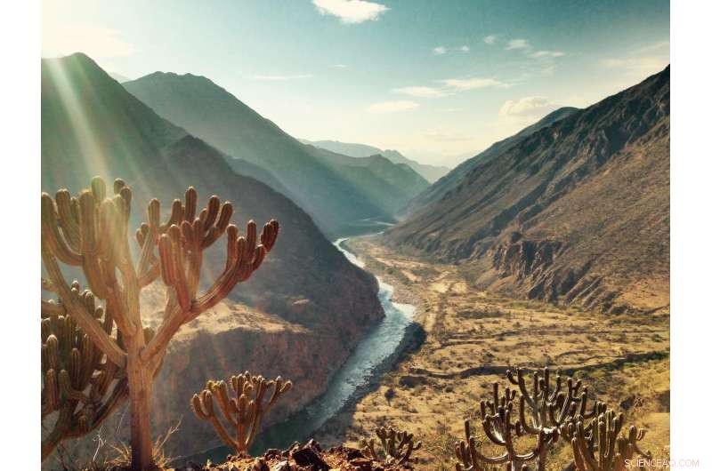 Scientists Warn: Planned Andean Amazon Dams Pose Greater Risks than Rewards