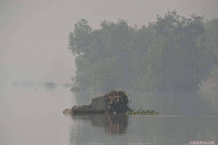 Lessons from a Bangladeshi Island: Navigating Disaster Resilience